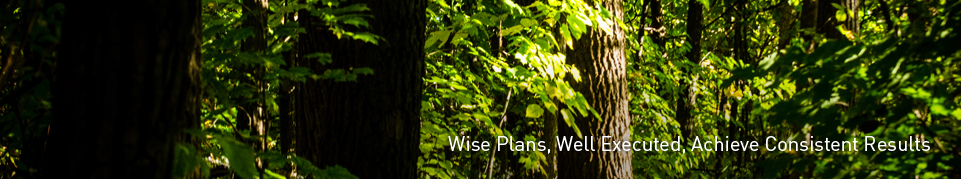 Wise Plans, Well Executed, Achieve Consistent Results