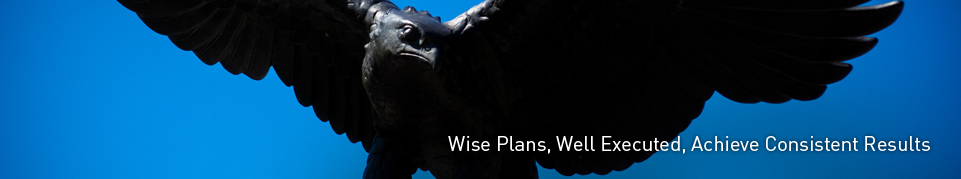 Wise Plans, Well Executed, Achieve Consistent Results