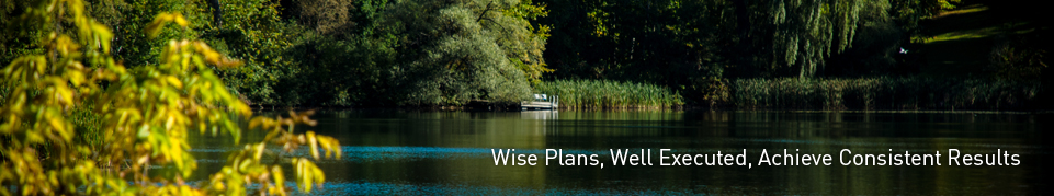 Wise Plans, Well Executed, Achieve Consistent Results