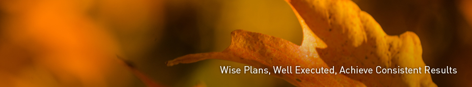 Wise Plans, Well Executed, Achieve Consistent Results