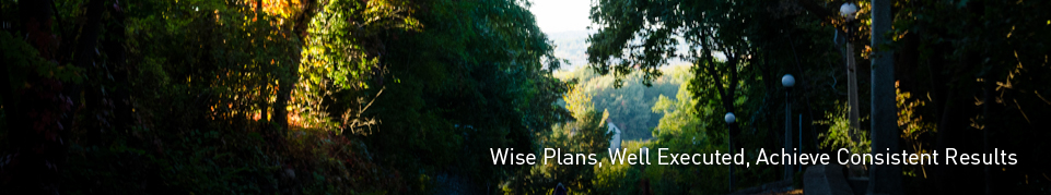 Wise Plans, Well Executed, Achieve Consistent Results